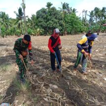 Babinsa Koramil 1406-08/Sabbangparu Dukung Ketahanan Pangan dengan Bantu Petani Tanam Jagung