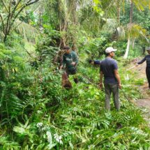 Babinsa Koramil 1406-10/Pitumpanua Gelar Gotong Royong Bersihkan Bahu Jalan di Kelurahan Benteng