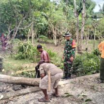 Babinsa Koramil 1406-06/Pammana Gelar Gotong Royong Tebang Pohon Berbahaya