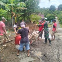 Babinsa Koramil 1406-10/Pitumpanua Laksanakan Kerja Bakti Pengerasan Jalan Tani